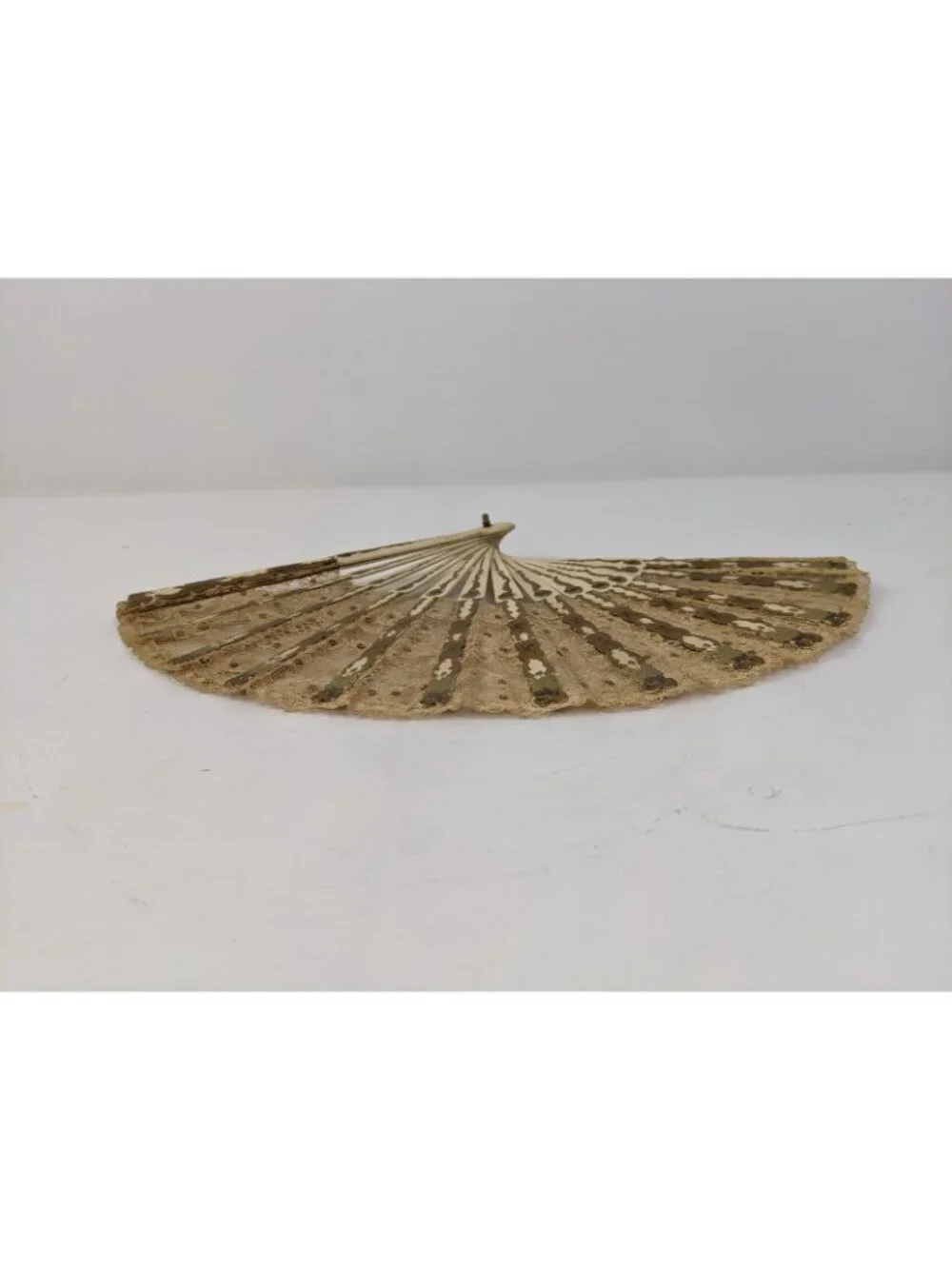 Antique Brussels Lace Hand Fan Sandlewood Ribs Gilding Intact c. 1910